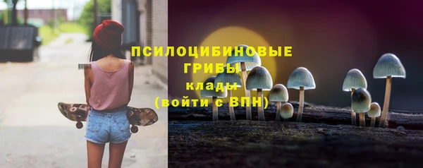 спиды Алексеевка