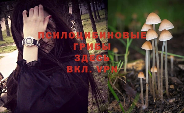тгк Пролетарск