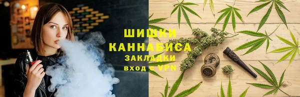 индика Абдулино