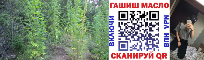 купить наркотики сайты  Гаджиево  ТГК жижа 