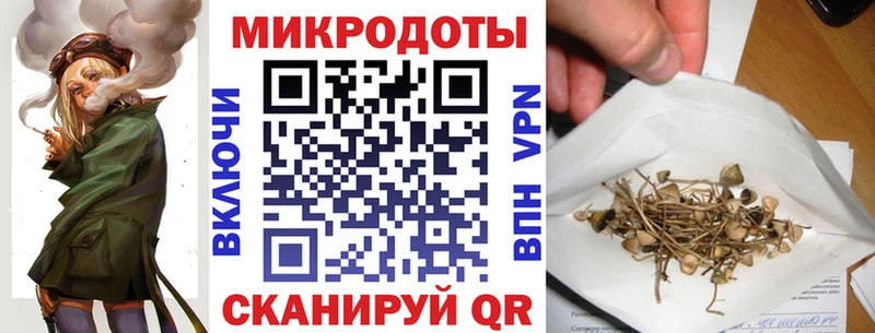 как найти закладки  Гаджиево  Галлюциногенные грибы Psilocybe 